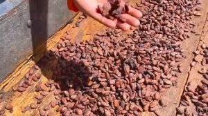 Настя и папа готовятся отпраздновать Хеллоуин