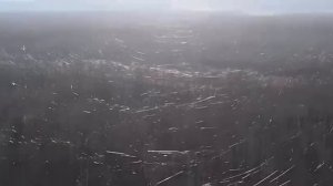 ОПТОВОЛОКОННЫЕ КАБЕЛЯ ДРОНОВ В КУПЯНСКОМ ЛЕСУ.