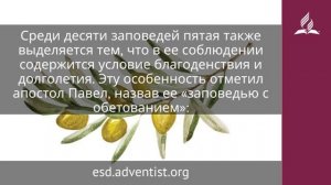 11 декабря 2025. Пятая заповедь. Под сенью благодати . Адвентисты