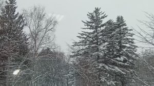 Видео с работы. Просто так