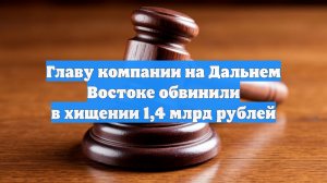 Главу компании на Дальнем Востоке обвинили в хищении 1,4 млрд рублей