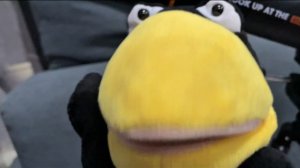 Весёлый сборник с вороной Асей