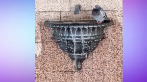 Прогулка по Москве.  Фотопутешествие по Москве. Маршрут по знакомым местам.