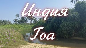 Индия Гоа
