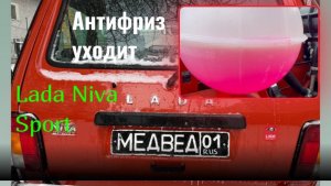 Уходит антифриз Лада Нива Спорт Lada Niva Sport