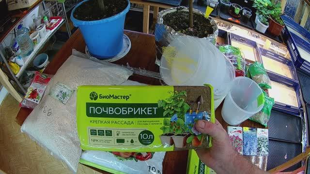 Большая закупка в базе-магазине "Семена"