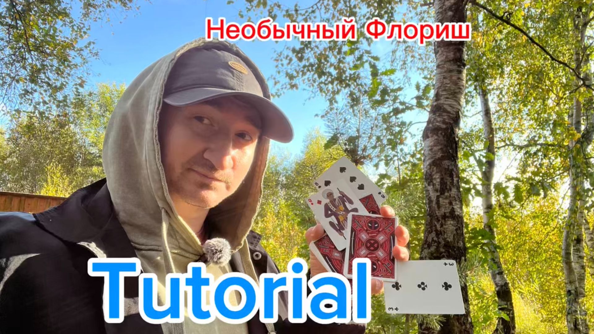 Очень необычный карточный дисплей Рыба смотреть онлайн