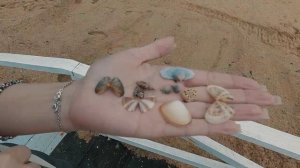 2025 - Вьетнам - Неизданное