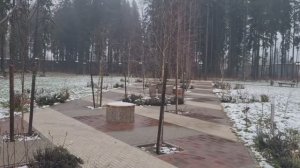 Прогулка по парку! Встретила медведя, смотрите до конца.👀 Ленинградская область 09.12.25г.