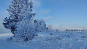 Мороз, а у меня ремонт и готовка.