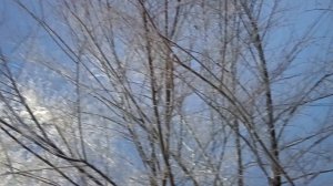 Красивый пейзаж