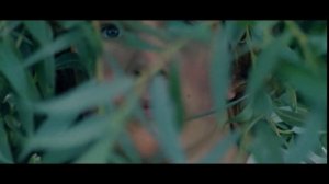 Соловьиный вальс