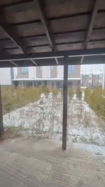 video5321160271505426549