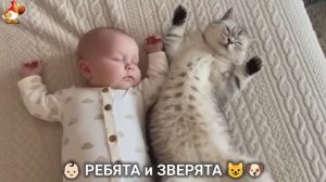 Ребята и зверята от ИИ милое видео для души и радости 👶🏻😺🐶 (1)