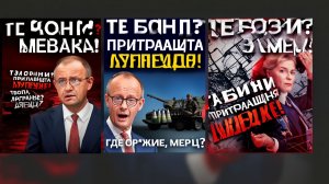 ДРАМА В ПОЛИТИКЕ Запрет АДГ  новая волна хаоса и радикализации в стране_