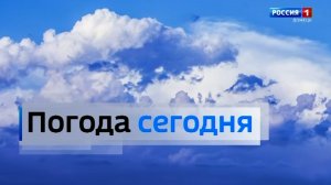 Погода в Донецкой Народной Республике 11  декабря
