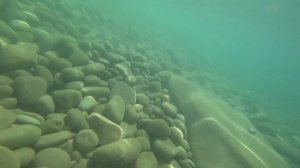 Черное море. Под водой. Видео.