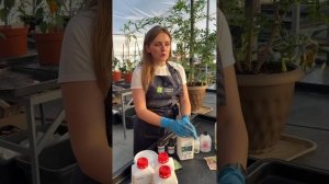 ВСЕ, ЧТО ВАЖНО ЗНАТЬ ПРО МИКРОЭЛЕМЕНТЫ