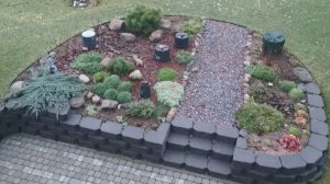 Растим сад на пустоши. Вспомним 2024г. Восток Ленинградской области