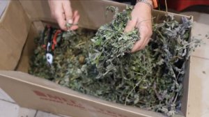 Ароматный целебный фиточай своими руками.