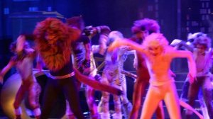 Розыгрыш - Мюзикл "Кошки" - 1 февраля 2025 года