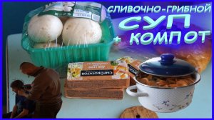 ПАША ГОТОВИТ | СЛИВОЧНО-ГРИБНОЙ СУП | ПОДСТРИГ ПАХУ | КОМПОТ | ЖИЗНЬ ОДИНОКОГО ЧЕЛОВЕКА