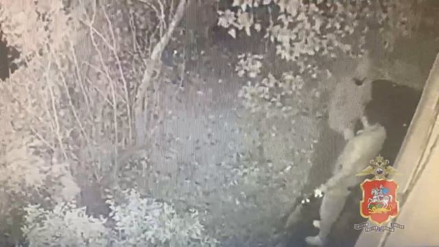 В Подмосковье задержан подельник аферистов, которые выманили у несовершеннолетней коллекцию часов