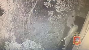 В Подмосковье задержан подельник аферистов, которые выманили у несовершеннолетней коллекцию часов