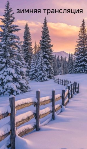 Зимняя Трансляция❄❄❄