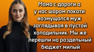 Истории из жизни|РАЗДЕЛЬНЫЙ БЮДЖЕТ|Аудио рассказы|Аудиокниги слушать онлайн|Жизненные истории