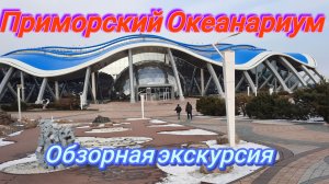Приморский Океанариум. Обзорная экскурсия.