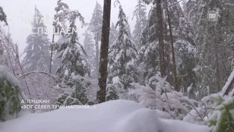 Возьмите на урок: А.С. Пушкин «Вот север, тучи нагоняя...»