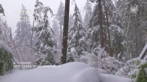 Возьмите на урок: А.С. Пушкин «Вот север, тучи нагоняя...»