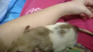 2 часть  пожилаяк  пика 😃😅🤣