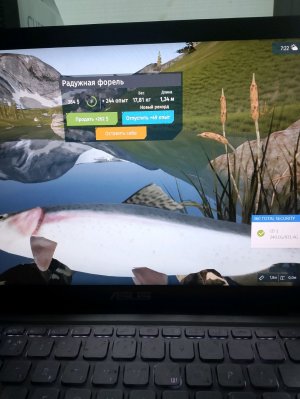 играю на гитаре и про организм