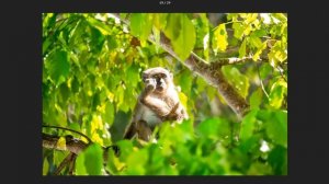 Путешествие на острова Пхи Пхи, Майа Бэй и Кхай