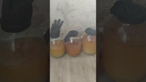 решил заняться виноделием