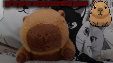 утро капибары