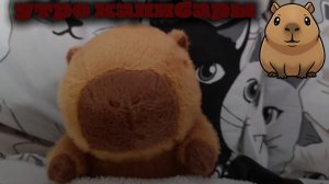 утро капибары