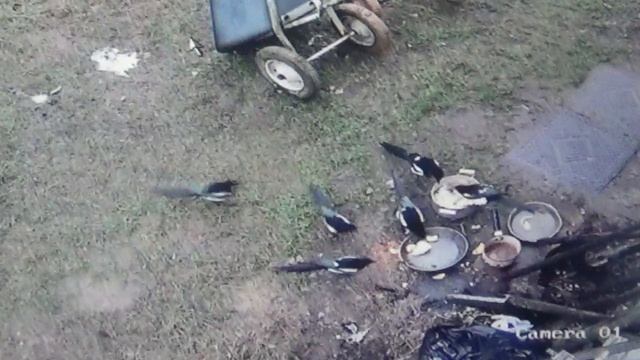 В столовой оживленно, прибыли посетители      ПОДПИШИСЬ