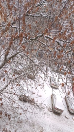 В самаре снег