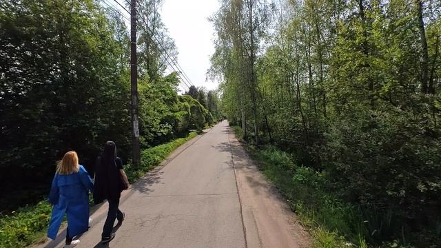 2025.06.04. Сестрорецкое болото. Ч.1