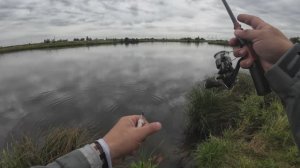 #Мормышинг | Ловля осенней плотвы на спиннинг |