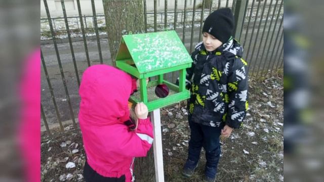 Птицы зимой