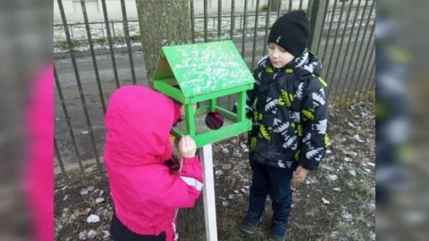 Птицы зимой