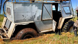 ДИКИЙ! БЕШЕНЫЙ ЖОР ОКУНЯ! ИЗБА 1920-Х Рыбалка, костёр и неожиданные находки в лесу!