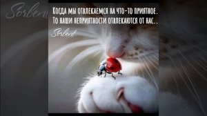 Вся СИЛА внутри ТЕБЯ.