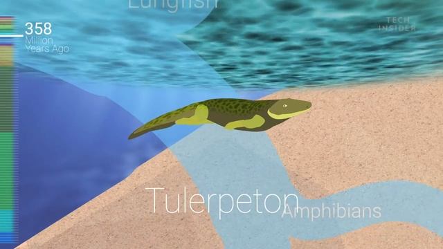 Эволюция живой природы, Биология 11 класс