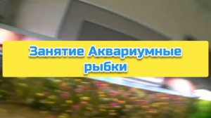 Занятие Аквариумные рыбки