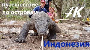 Путешествие по Индонезии (Ява, Бали, Комодо, Гили, Флорес, Вулканы Бромо и Иджен, озера Келимуту 4К